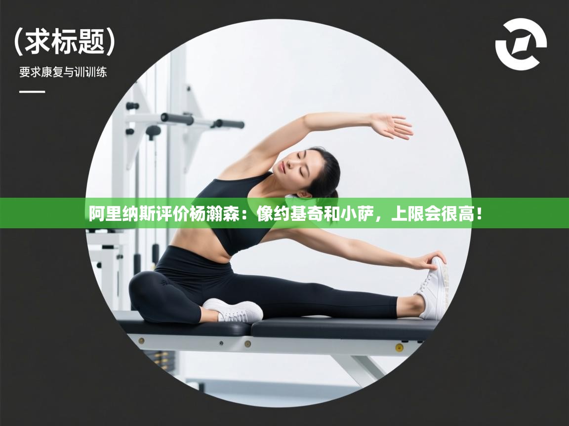 海星体育官网入口-阿里纳斯评价杨瀚森：像约基奇和小萨，上限会很高！